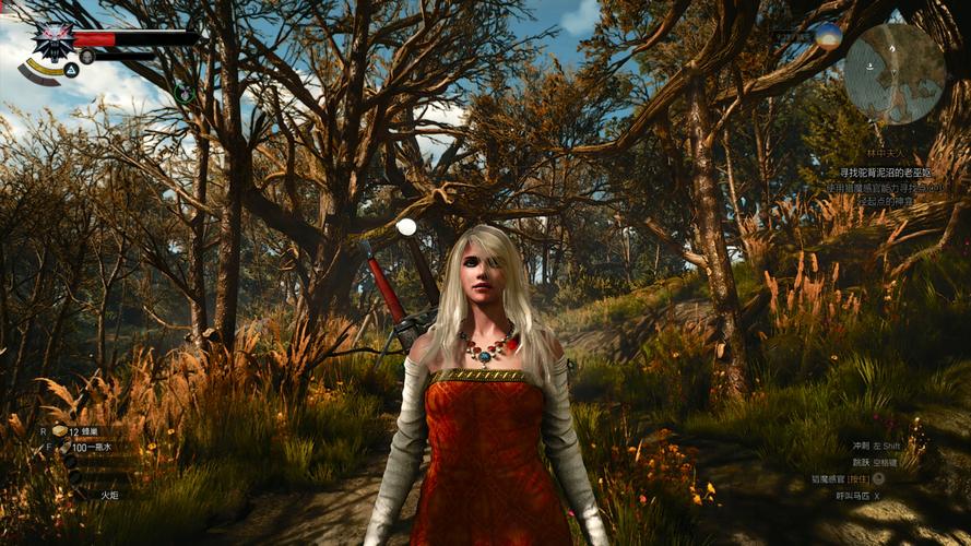 巫师3魔改版必备MOD推荐：画面与玩法提升十连击