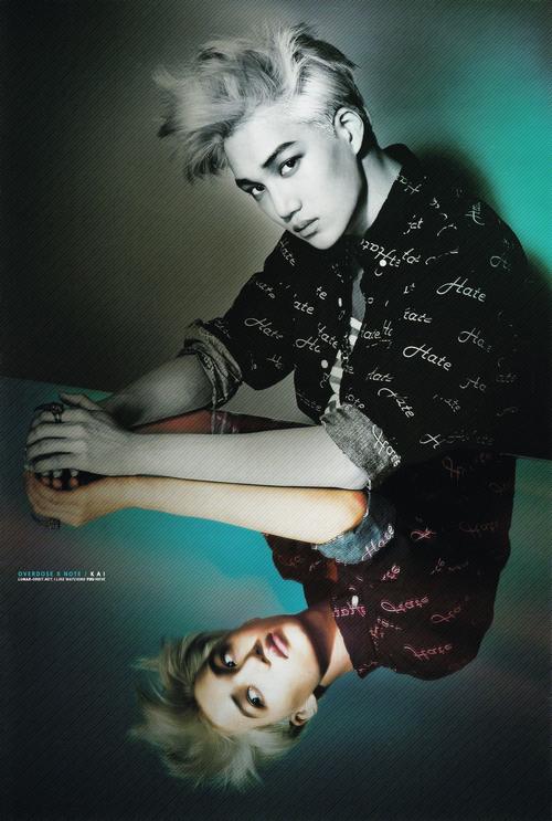 KAI合集版本大全哪个好用?老用户分享真实体验!