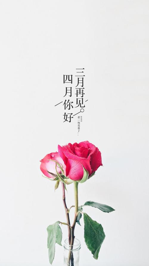 jinricp3月4日正式版游戏介绍评测如何?(真实用户体验优缺点分析)