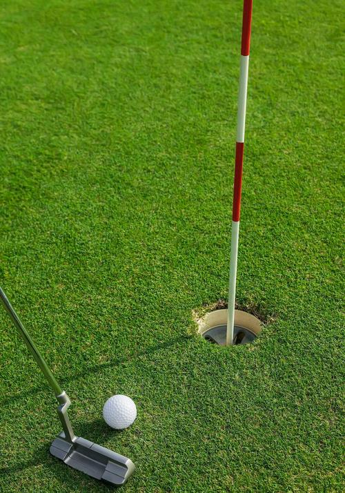 高尔夫是棒球洞的运动下载地址是否免费?(费用全解析避坑攻略)