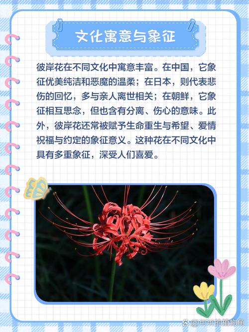 彼岸花汉化版更新了什么？速看新增副本与装备系统！