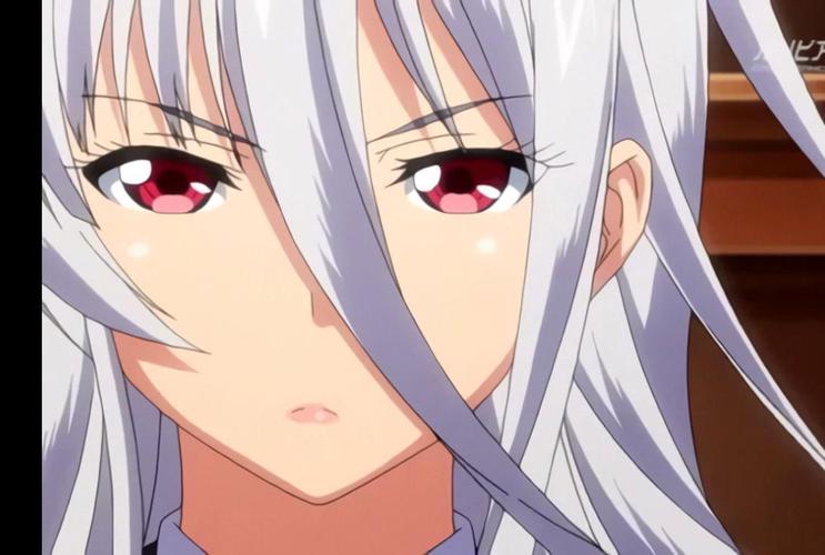 圣布伦希尔特学园少女骑士团和纯白胖次汉化版下载网站哪家好？靠谱平台推荐！