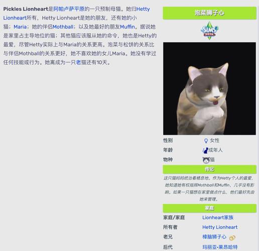 疯猫游戏攻略哪里找资源?免费实用攻略网站推荐合集!