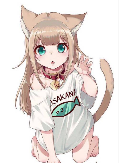 猫娘汉化版怎么快速更新？三招简单上手攻略！