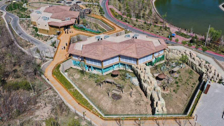 蓝宝石野生动物园下载安卓怎么操作?5分钟搞定安装教学技巧!