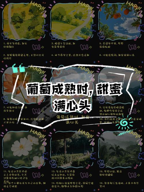 葡萄成熟时游戏介绍（玩法教程？新手5步轻松入门！）