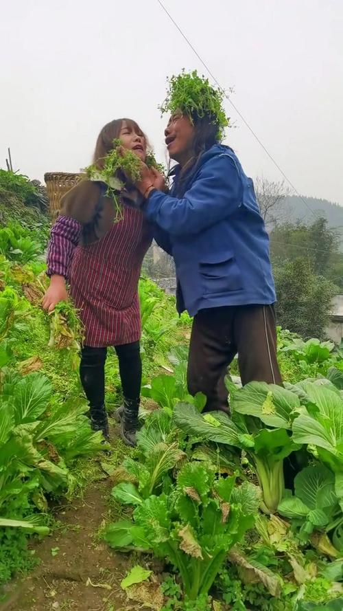 乡下生活最新版本是多少？一文搞懂升级内容和下载方法