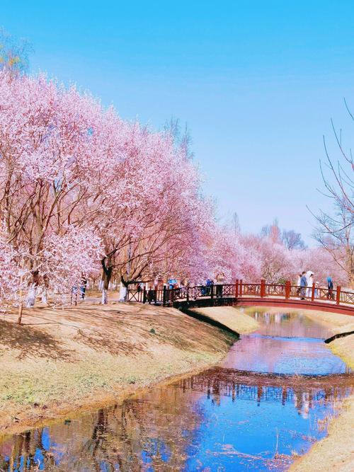 桃花境最新版本是多少？与其他版对比谁更好？