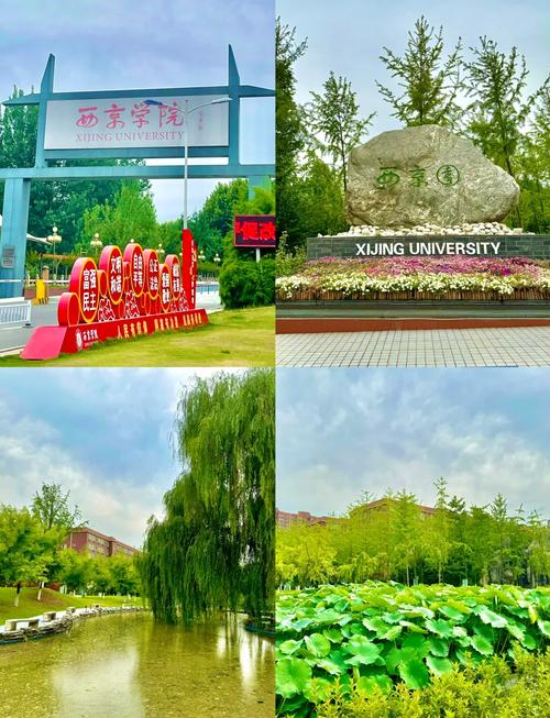 西景学院最新版本怎么玩？老用户分享实战经验！