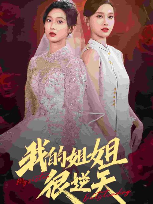 姐姐别追我最新版本和旧版有什么区别?(优缺点详细对比分析)