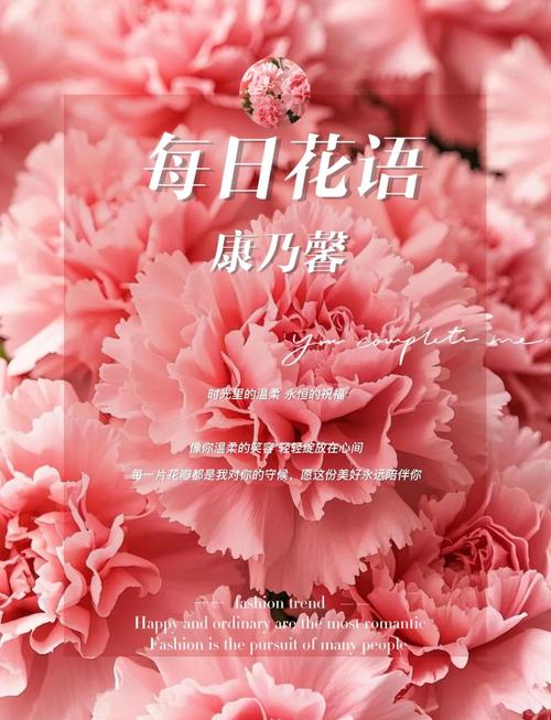 康乃馨俱乐部官网有礼包吗?独家兑换码领取攻略