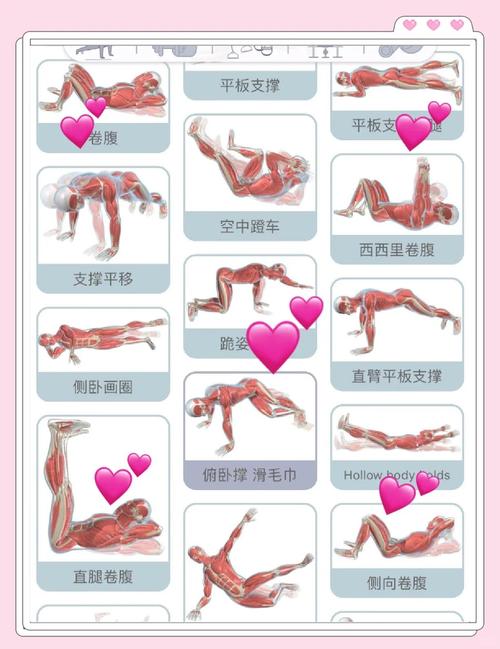 哪里能下载禁欲健身中心?资深用户推荐靠谱途径