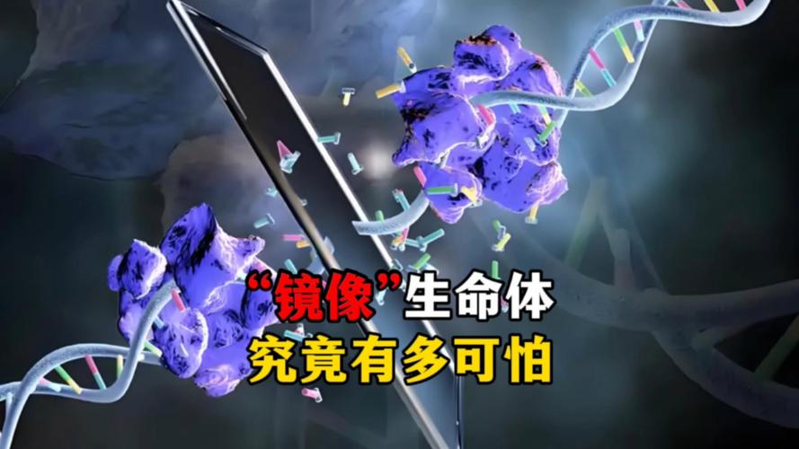 生命体v0.17d下载安卓用户反馈？真实评价分享优缺点！