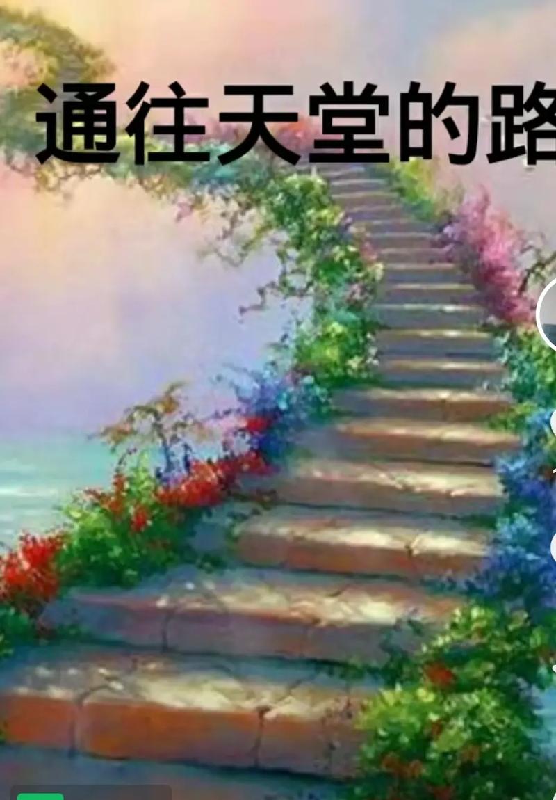 还在找通往天堂的道路更新地址?最新入口一键直达!