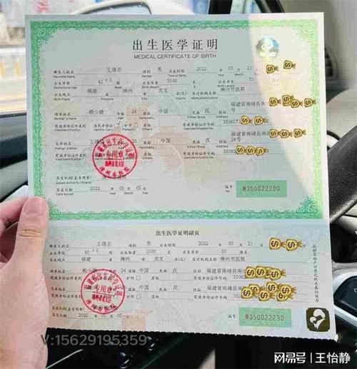 出生证明最新版本是多少?新生儿爸妈必看这些更新