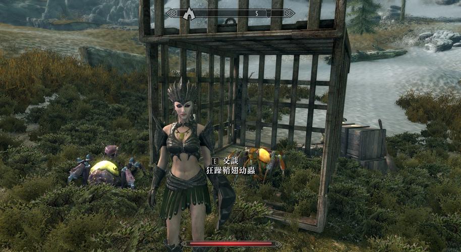 上古卷轴5游戏攻略哪里找?新手小白快速入门看这里!