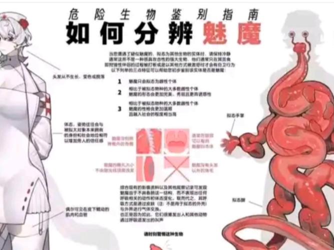 魅魔重现更新地址找不到怎么办？简单有效解决方案分享！