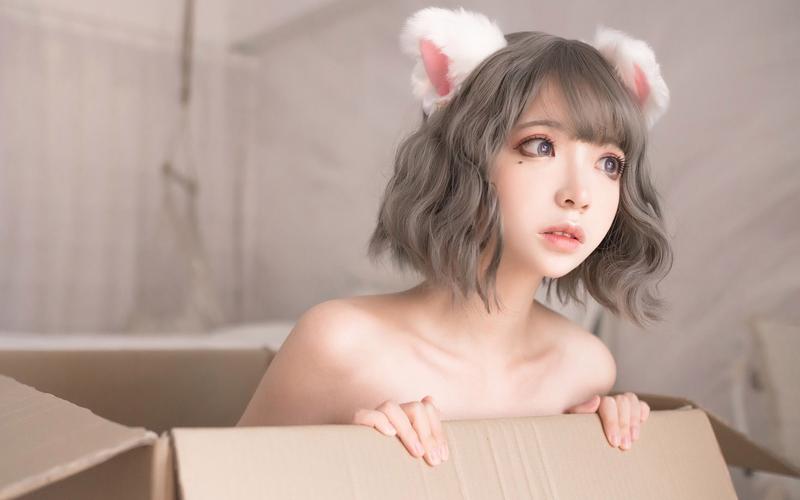 疯猫最新作品怎么样?深度体验真实感受!