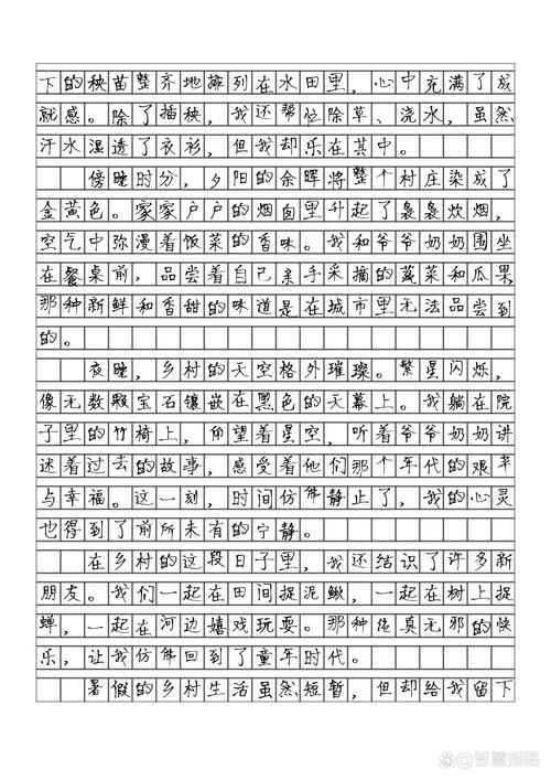 乡村生活的快乐暑假如何下载(内附最新安装包)