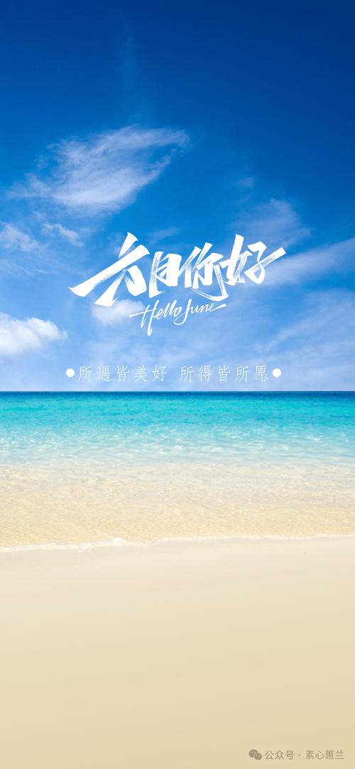 你与我的六月官网下载方法分享?官方入口轻松获取!