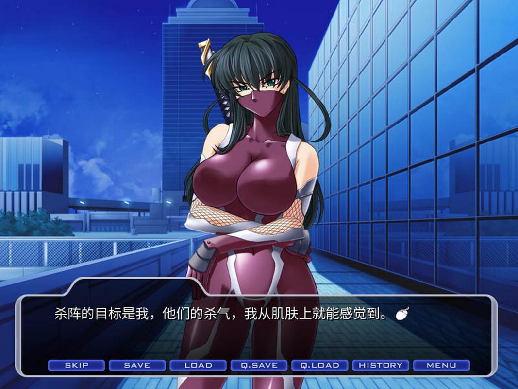 对魔忍阿莎姬游戏官网