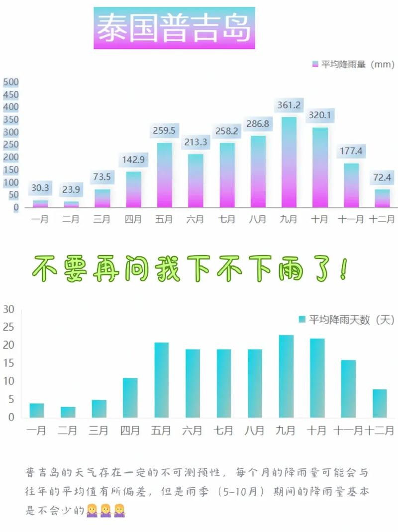 雨季最新版本是多少?官方推荐更新步骤详解!