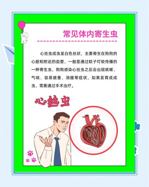 谁有内部寄生虫更新地址？好心人分享一下，谢谢！