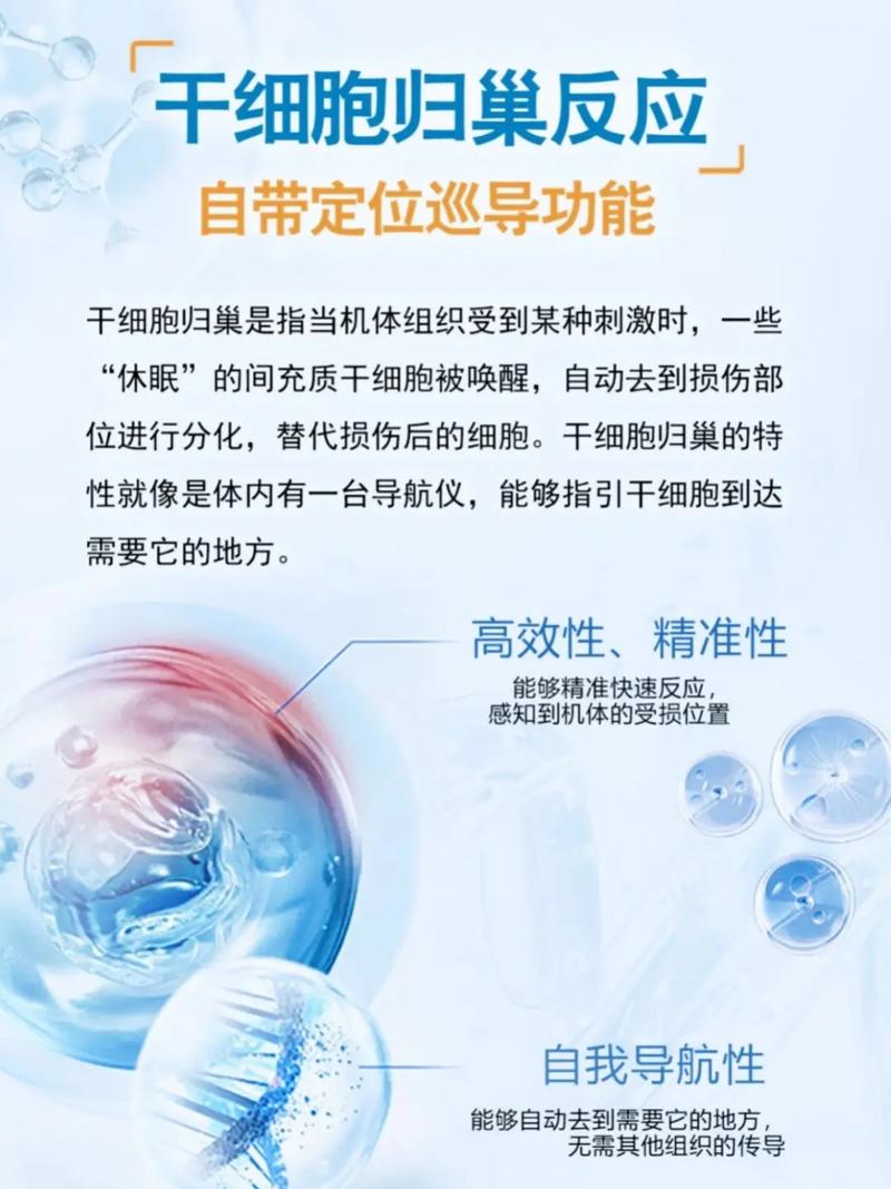 归巢版本大全优势分析?(用户推荐使用心得)