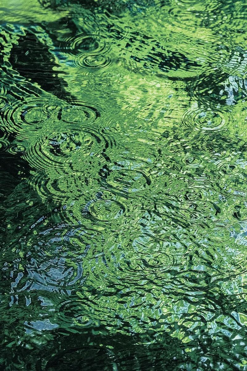 涟漪版本区别:详细对比,帮你找到最心仪的版本!