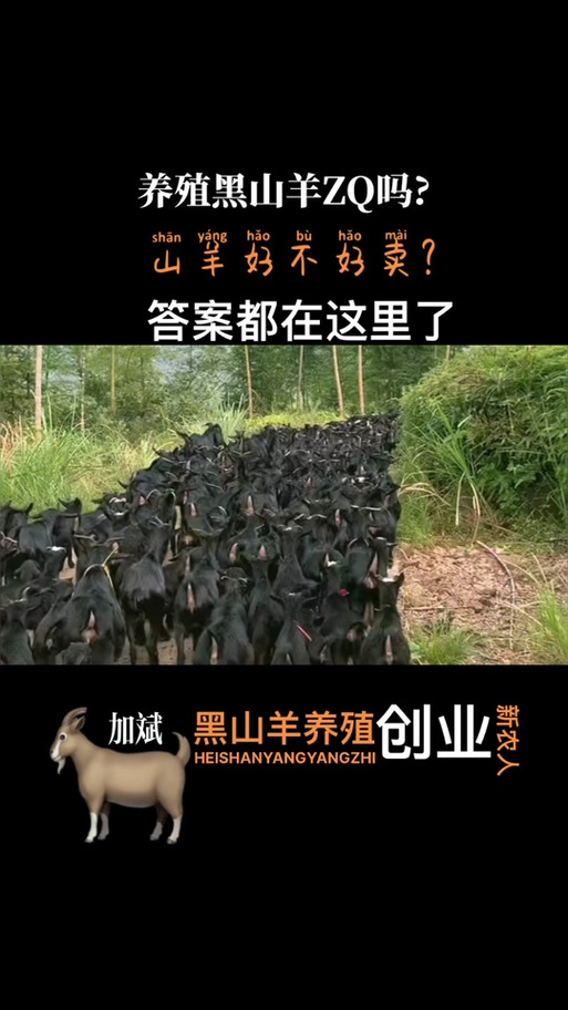 想知道黑山羊之夜如何下载?这几个方法简单又快捷!