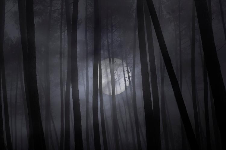 失落的月亮如何下载?手机版下载教程来啦!安卓苹果都能用