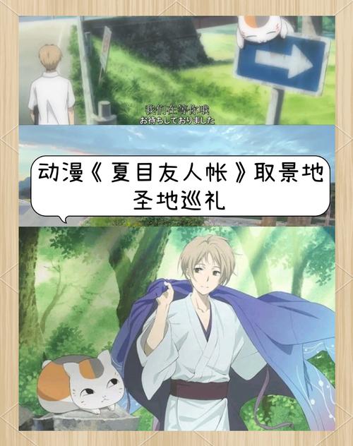 夏目友人帐游戏攻略操作技巧?老玩家分享超实用方法!