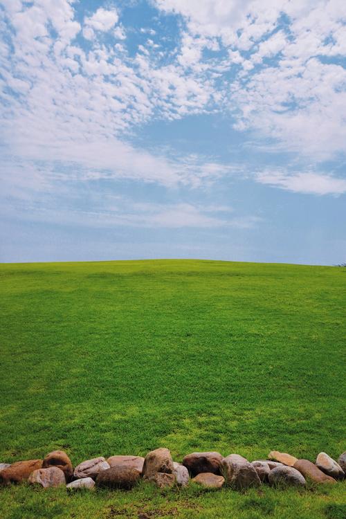 青青草原下载地址哪家平台好?对比这几家再下载!