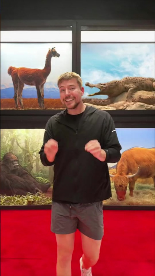 阳光下的野兽版本大全有啥？盘点所有版本区别与下载方式