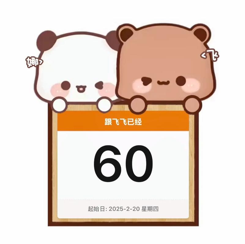 我们的60天下载安卓好用吗？用户真实分享使用体验！