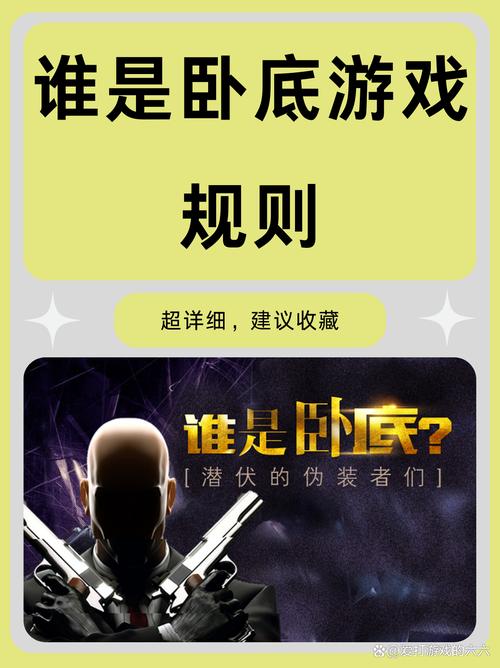 盯档猫游戏介绍规则详解?掌握关键点轻松上手!